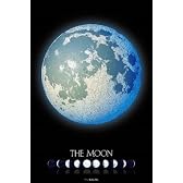 スターリーテイルズ the Zodiac by KAGAYA 1000ピース THE MOON -月の世界-【光るパズル】 (50cm×75cm、対応パネルNo.10)