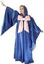 Adult Fairy Godmother Cinderella Costume Party NIP