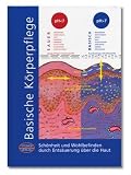 Produkt-Bild: Steiner Verlag Basische K&ouml;rperpflege Steiner Verlag 1 St&uuml;ck
