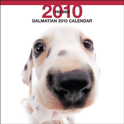 Dalmatian 2010 Square Wall ARTLIST