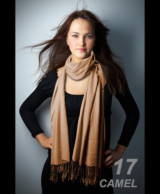 Hollywood Solid Pashmina Scarf in a Fancy Gift Box with Free Shipping Hollywood Solid Pashmina Scarf in a Fancy Gift Box with Free Shipping