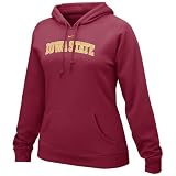 Nike Iowa State Cyclones Ladies Red Arch Lettering Fleece Hoody Sweatshirt