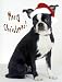 boston terrier - Pet Star Christmas Cards - Boston Terrier in Santa Hat