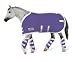 Blanket and Shipping Boots - Blue by Breyer