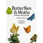 Butterflies and Moths in Britain and Europe