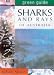 Green Guide Sharks & Rays of Australia (Green Guides)