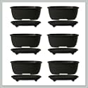 Oval Bonsai Pots with Trays | 6 Pack