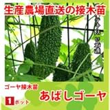 ���i�̏ڍ�