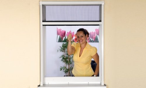 Insektenschutzrollo aus PVC für Fenster Farbe weiß bis 130 x 160 cm