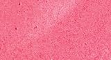 from Snazaroo Snazaroo Sparkle Salmon Pink 18ml Model snazsspink