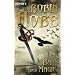Im Bann der Magie: Roman