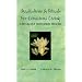 Meditations & Rituals for Conscious Living : A Reflective Meditation Process