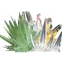 Crystal Growing Kit