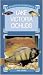 Lake Victoria Cichlids (Practical Fishkeeping)
