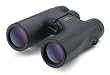 Pentax 10x36 DCF HS Binocular (Black)