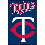 Minnesota Twins Applique Banner Flag