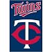 Minnesota Twins Applique Banner Flag