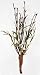 Pussy Willow and Twig Floral Picks - Package of 6