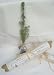 Tree Beginnings Inc.,
