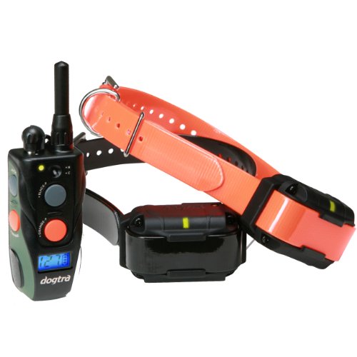 Dogtra Surestim 2 Dog Low-High Traning Collar