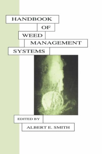 Management