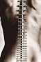 Light Strings: Impressions of the Guitar Light Strings: Impressions of the Guitar
