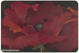 Jason Midday Placemats - Set of 4 (Large)
