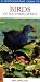 Photographic Guide to Birds of Southern Africa
