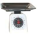 Taylor 22-Pound Kitchen Food Scale