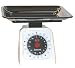 Taylor 22-Pound Kitchen Food Scale