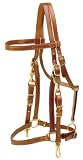 TORY LEATHER Halter/ Bridle Combination Trail Bridle