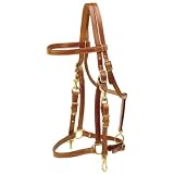 TORY LEATHER Halter/ Bridle Combination Trail Bridle