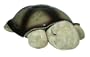 CloudB 7323z - Twilight Turtle� - Classic
