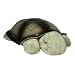 Cloud b Twilight Constellation Night Light, Turtle