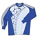 adidas Rapido Goalkeeper Jersey