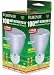 100-Watt Replacement PAR-38 Compact Fluorescent Floodlight, Uses only 23-Watts