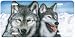 Arctic Wolves - Wildlife Decor Art Print - License Plate Tag By Alex Raccanelli From ...