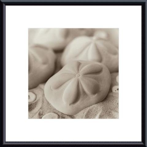 Barewalls Interactive Art 328319S60-WTM,CM,BLM La Mer 4, Metal Framed Art Print- White Metal-Black Mat