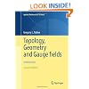 Topology, Geometry and Gauge fields: Interactions (Applied Mathematical Sciences)