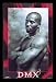 DMX (Pose, Shirt Off) Gold Wood-Mounted Music Poster Print - 24" X 36"