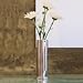 Ginger 36.87.01 Kubic Bud Vase (26-Polished Chrome)