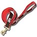 Officially Licensed Philadelphia 76er's NBA Basketball Dog Leash - Small