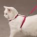 Savvy Tabby Nylon Cat Harness Rasberry Sorbet