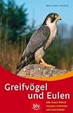 Greifvögel und Eulen: Alle Arten Mitteleuropas erkennen und bestimmen