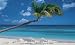 Beach Wall Mural- 8'3x13'8