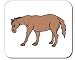Decorated Mouse Pad with the image of: domestic, Asia, India, animal, mule