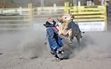 Charging Bull - 24