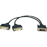 Tripp Lite DVI-D Dual-Link Splitter Cable (1-foot)