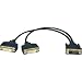 Electronics : Tripp Lite DVI-D Dual-Link Splitter Cable (1-foot)