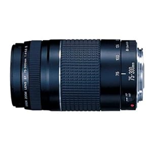 Buy Canon EF 75-300mm f/4-5.6 III Telephoto Zoom Lens for Canon SLR Cameras with best Review